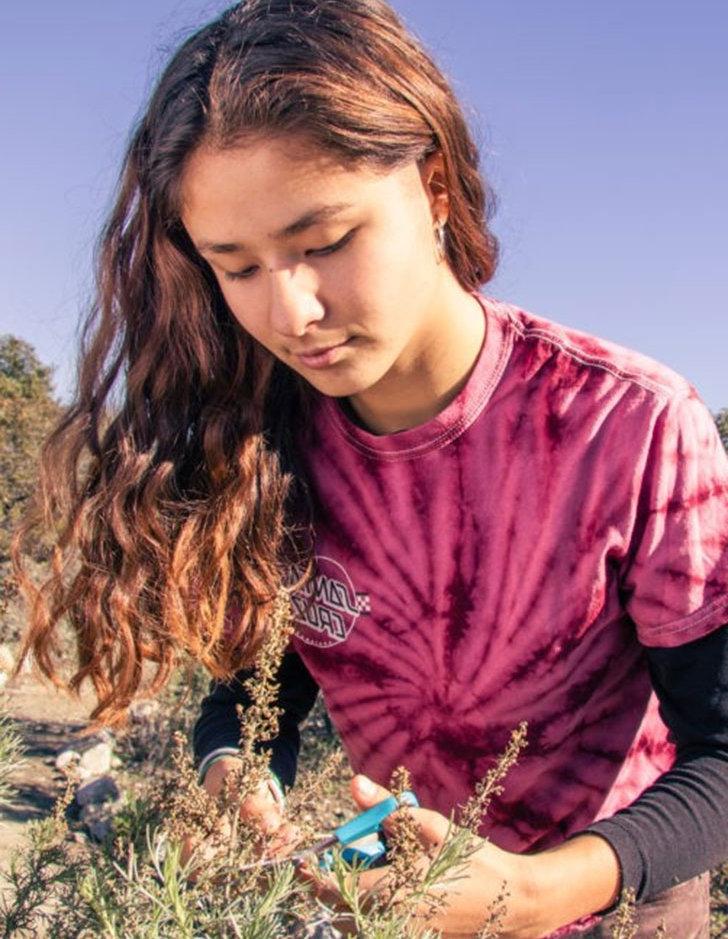 Zoe Van Warren clips native plants. 